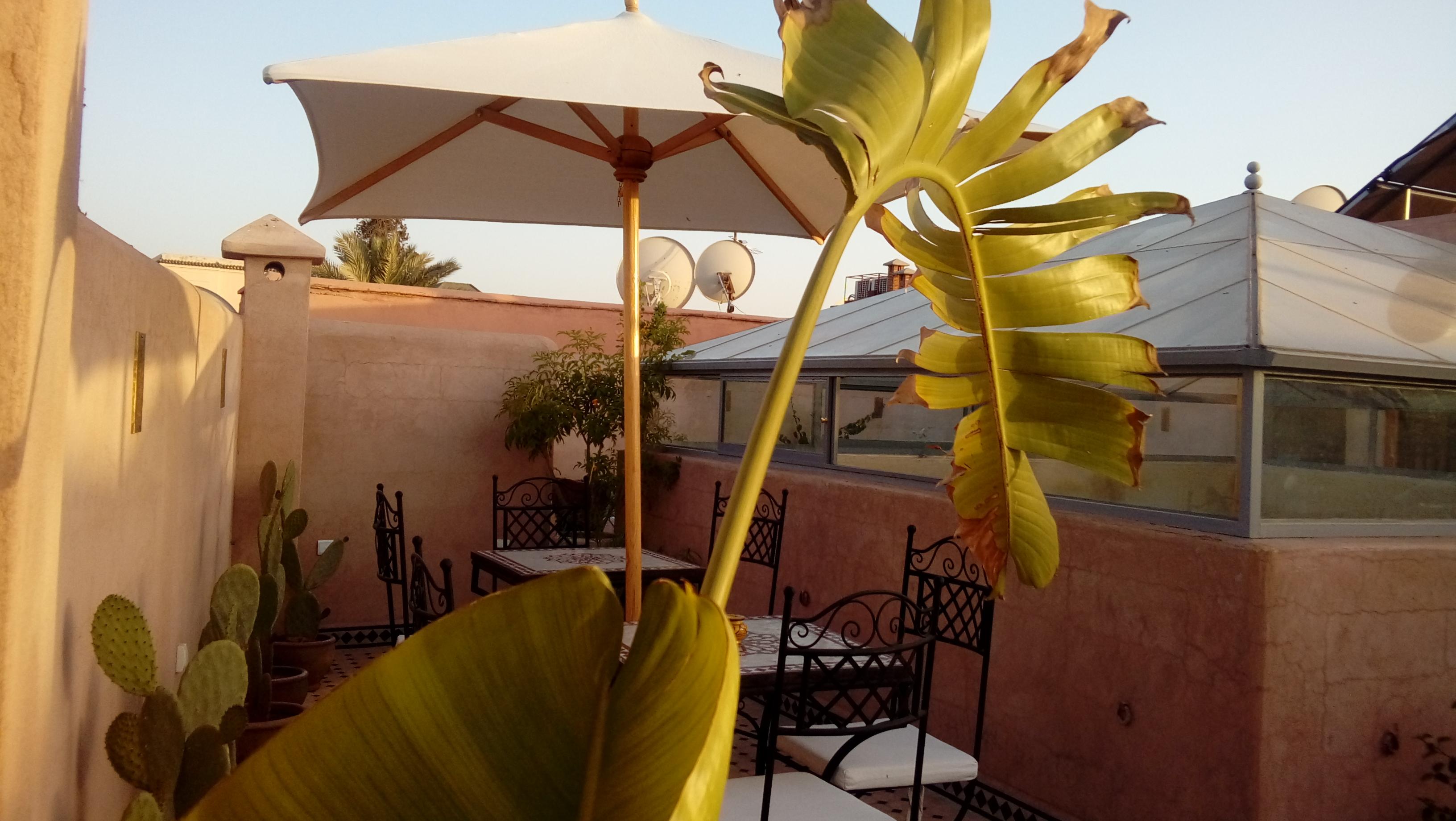 Riad Miral Маракеш Екстериор снимка